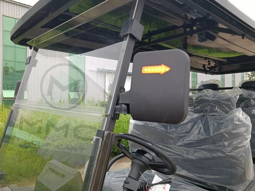 Customize New Club Sightseeing Golf Car 4/6 Seater 48V 60V Off-road Solar Electric Golf Cart RISE DEFENSE SYSTEMS.AI PRODUCTS
