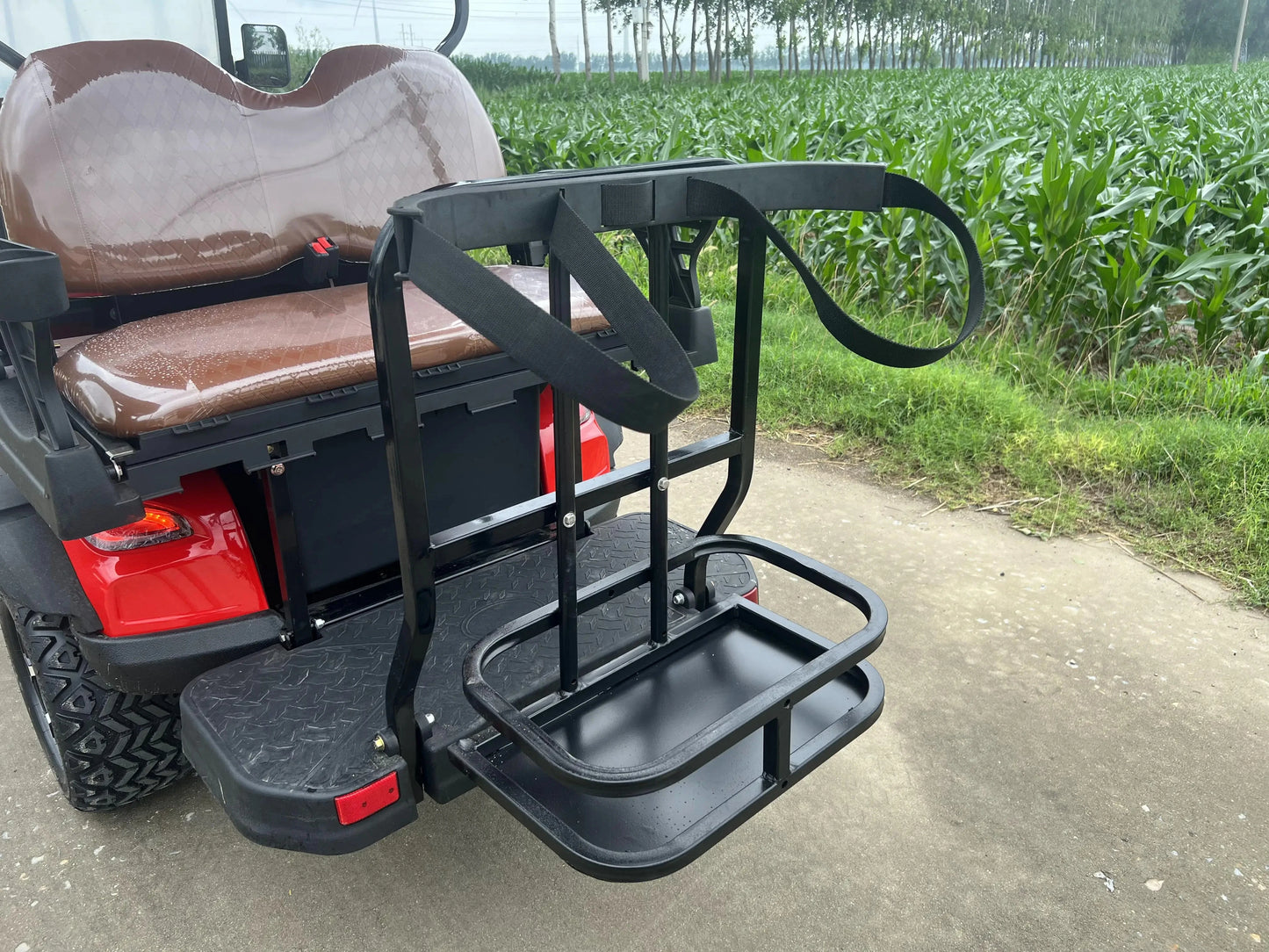 Customize New Club Sightseeing Golf Car 4/6 Seater 48V 60V Off-road Solar Electric Golf Cart RISE DEFENSE SYSTEMS.AI PRODUCTS