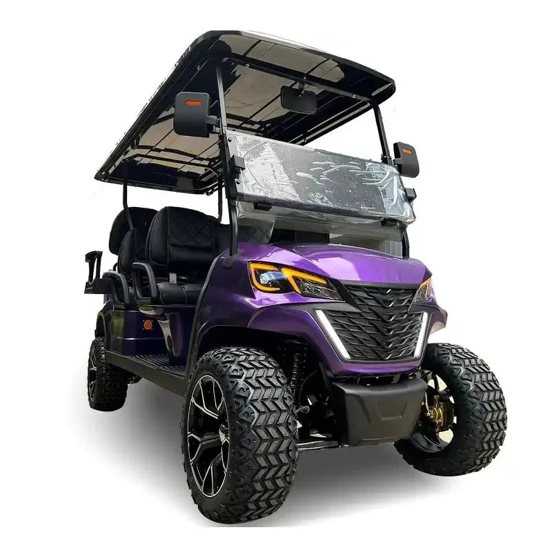 Customize New Club Sightseeing Golf Car 4/6 Seater 48V 60V Off-road Solar Electric Golf Cart RISE DEFENSE SYSTEMS.AI PRODUCTS