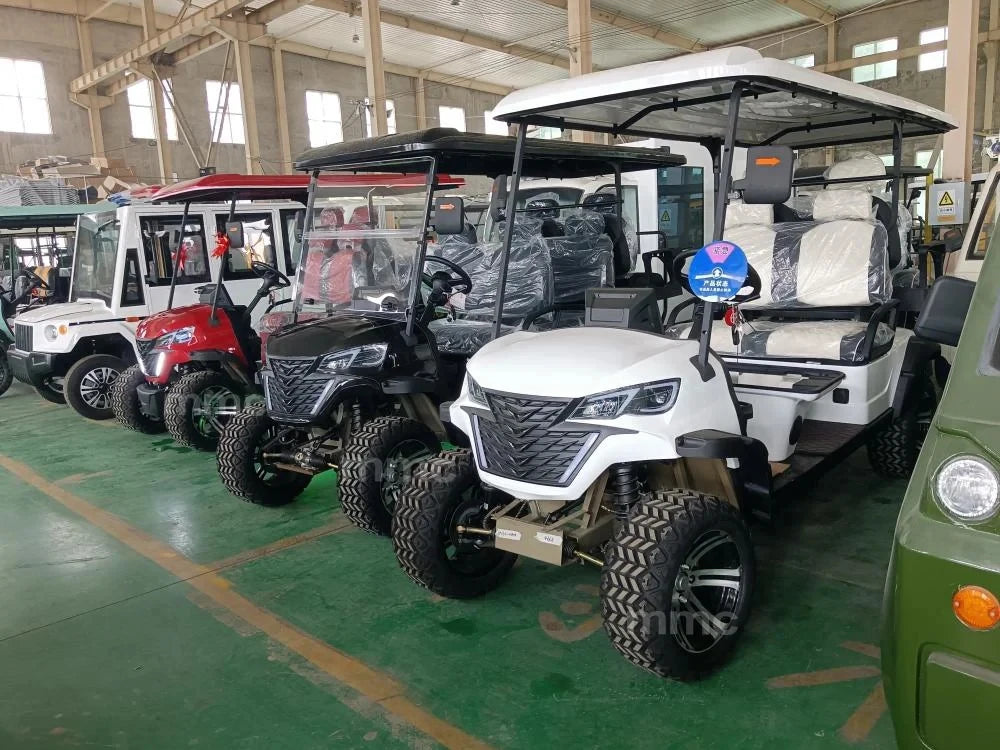 Customize New Club Sightseeing Golf Car 4/6 Seater 48V 60V Off-road Solar Electric Golf Cart RISE DEFENSE SYSTEMS.AI PRODUCTS
