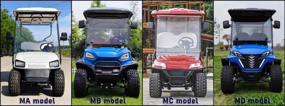Customize New Club Sightseeing Golf Car 4/6 Seater 48V 60V Off-road Solar Electric Golf Cart RISE DEFENSE SYSTEMS.AI PRODUCTS