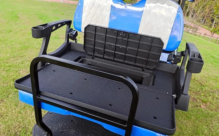 Customize New Club Sightseeing Golf Car 4/6 Seater 48V 60V Off-road Solar Electric Golf Cart RISE DEFENSE SYSTEMS.AI PRODUCTS