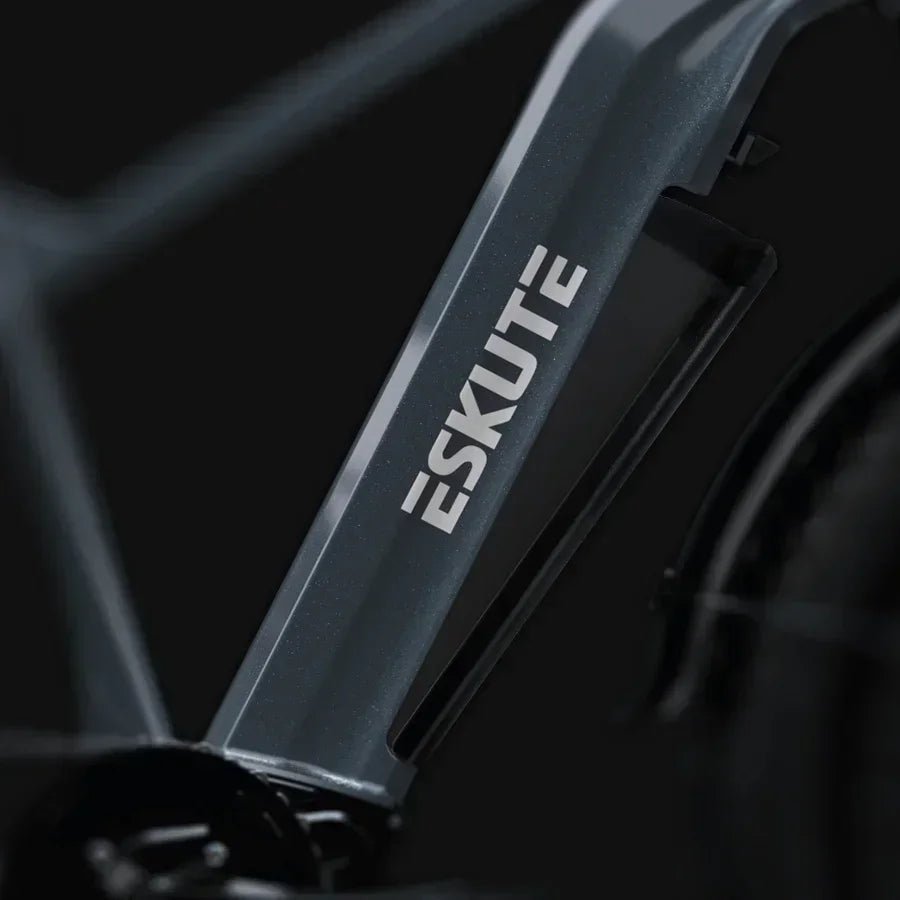 25 - year new ESKUTE ES - 26 - YWXD electric bicycle 750W 48V 20Ah battery 26 - inch tire 45km/h adult urban mountain electric bicycle - RISE DEFENSE SYSTEMS.AI PRODUCTS