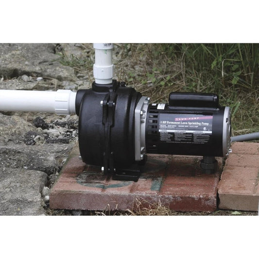 Horsepower, Green WLS200 2 HP Cast Iron High Volume Lawn Sprinkling Pump，home. RISE DEFENSE SYSTEMS.AI PRODUCTS