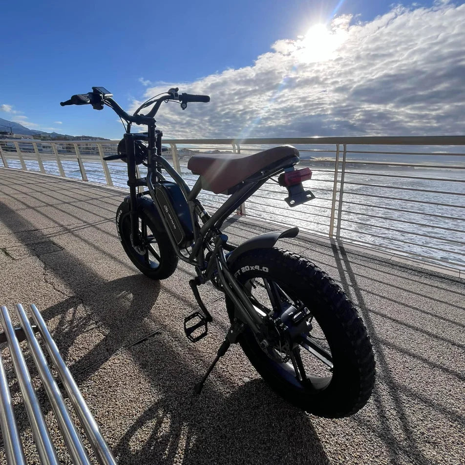 Adults Electric Bike JANSNO X50 750W 48V14AH Removable batteries Fat Tire 20"*4 Off Road Mountain Ebike 25MPH Moped Style Ebike RISE DEFENSE SYSTEMS.AI PRODUCTS