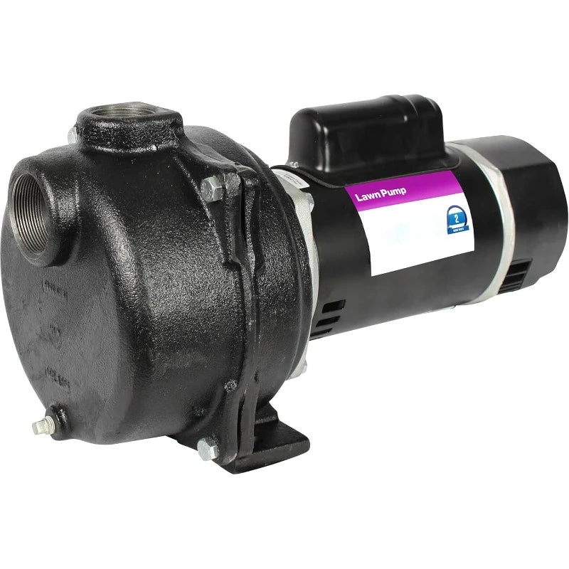 Horsepower, Green WLS200 2 HP Cast Iron High Volume Lawn Sprinkling Pump，home. RISE DEFENSE SYSTEMS.AI PRODUCTS