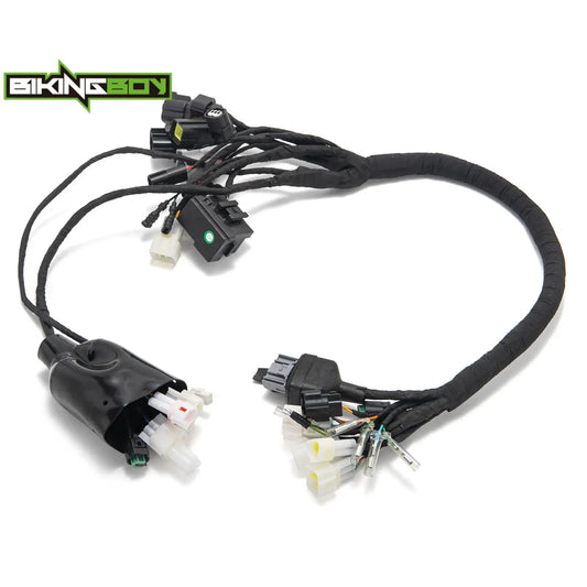 BIKINGBOY For Sur-ron Ultra Bee Surron UB Full Main Wire Wiring Assy Harness Electric Dirt Bike Off-Road Motocross MX RISE DEFENSE SYSTEMS.AI PRODUCTS