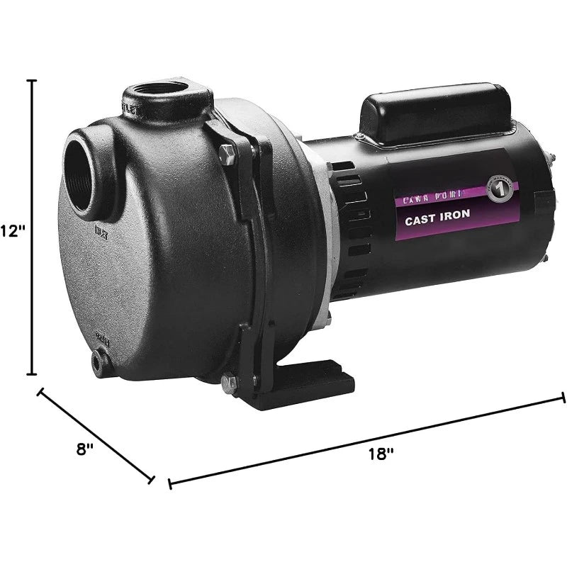 Horsepower, Green WLS200 2 HP Cast Iron High Volume Lawn Sprinkling Pump，home. RISE DEFENSE SYSTEMS.AI PRODUCTS