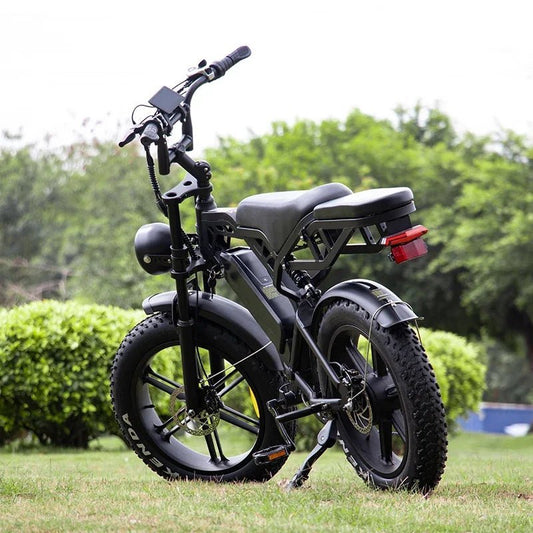 electric bike upgraded V20PRO1000W48V15AH off - road mountain beach riding for men 45KM/H with rear seat rack electric bike - RISE DEFENSE SYSTEMS.AI PRODUCTS