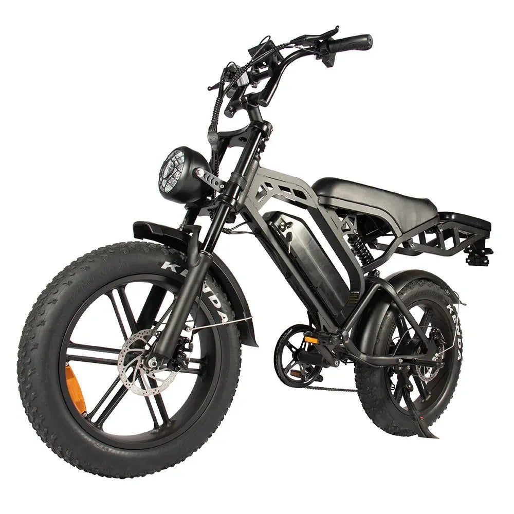 electric bike upgraded V20PRO1000W48V15AH off - road mountain beach riding for men 45KM/H with rear seat rack electric bike - RISE DEFENSE SYSTEMS.AI PRODUCTS