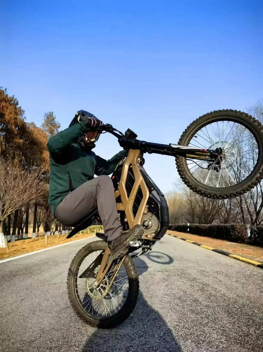 Electric Dirt Bike Motor 72V 5000W Peak Power 10kw 120km Range - RISE DEFENSE SYSTEMS.AI PRODUCTS