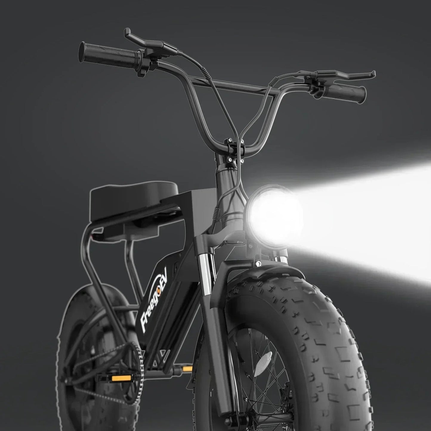 EU Stock All Terrain Ebike Offroad Freego DK200 Bike Electric Bike Beach Cruise E - bike 1200w Fat Tire Mountain E - bike e bike - RISE DEFENSE SYSTEMS.AI PRODUCTS