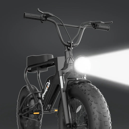 EU Stock All Terrain Ebike Offroad Freego DK200 Bike Electric Bike Beach Cruise E - bike 1200w Fat Tire Mountain E - bike e bike - RISE DEFENSE SYSTEMS.AI PRODUCTS
