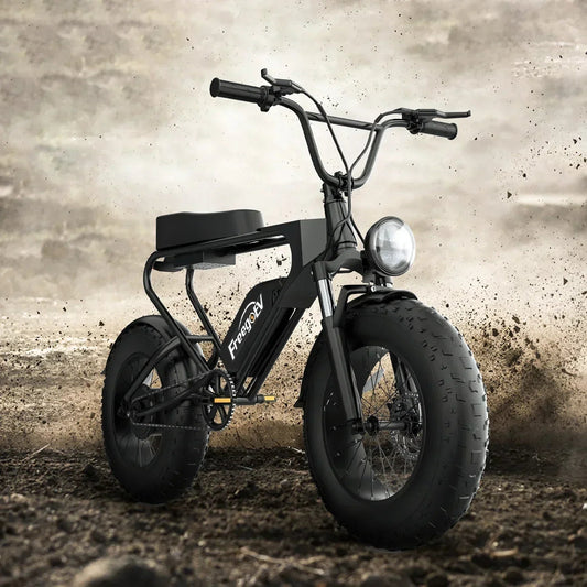 EU Stock All Terrain Ebike Offroad Freego DK200 Bike Electric Bike Beach Cruise E - bike 1200w Fat Tire Mountain E - bike e bike - RISE DEFENSE SYSTEMS.AI PRODUCTS