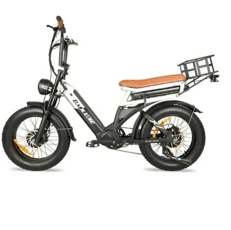 New - DP - 2033 Electric Bike 2000W Dual Motor 48V20AH Dual Battery Dual Hydraulic Brake EBike 20*4.0 Full suspension - RISE DEFENSE SYSTEMS.AI PRODUCTS